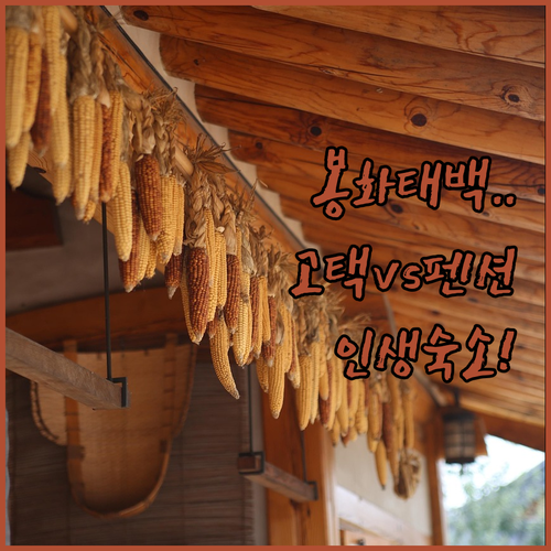 봉화 태백 한옥 고택 숙소 추천 청결..