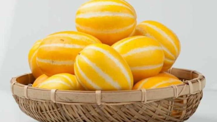 참외-효능-부작용-하루-섭취량-관련-사진