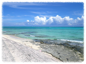 오키나와 (Okinawa)