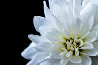 국민연금 유족연금 수급 순위 및 타 연금과의 중복 수급