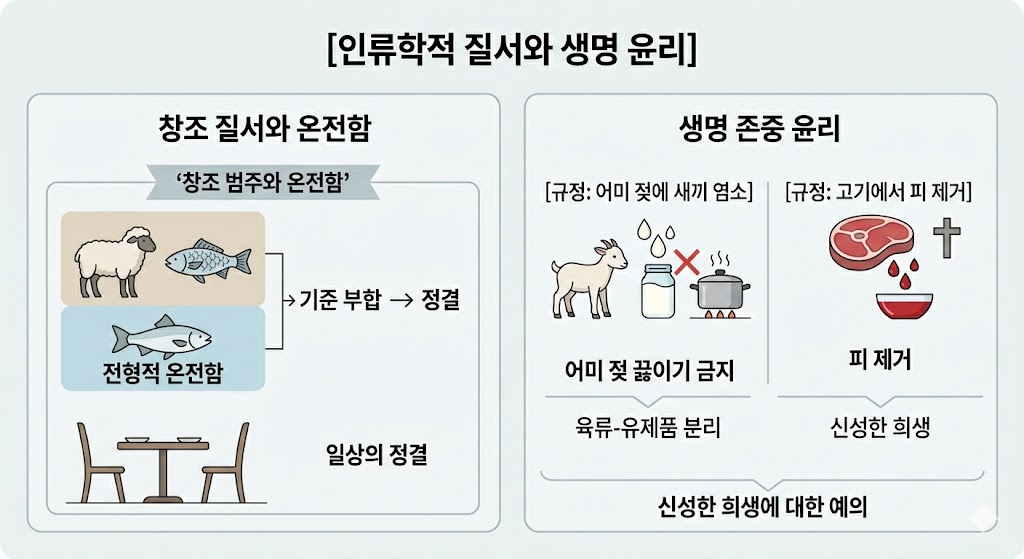 "인류학적 질서와 생명 윤리"를 주제로 한 인포그래픽입니다. 왼쪽은 '창조 질서와 온전함'을 설명하며, 전형적인 형태의 동물을 통한 정결과 백성의 질서 체득을 보여줍니다. 오른쪽은 '생명 존중 윤리'로, 어미 젖 금지 규정으로 육류&middot;유제품 분리를, 피 제거 규정으로 생명 존중을 설명하며 신성한 희생에 대한 예의를 강조합니다.