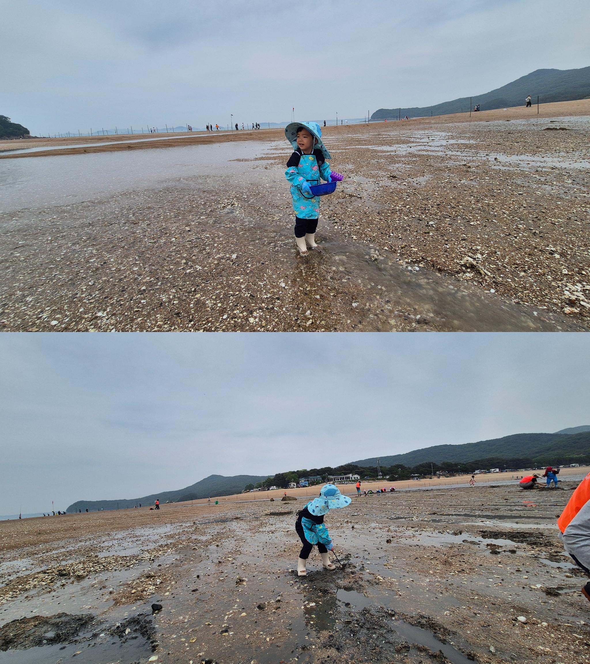 무의도 갯벌에서 조개잡이를 체험 중인 아이의 모습 세로형 콜라쥬