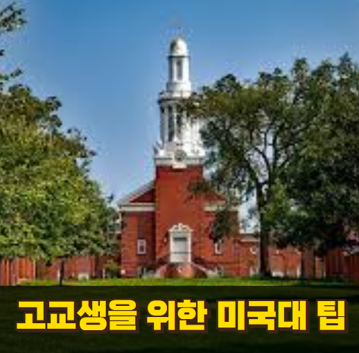 고교생 위한 미국대 팁