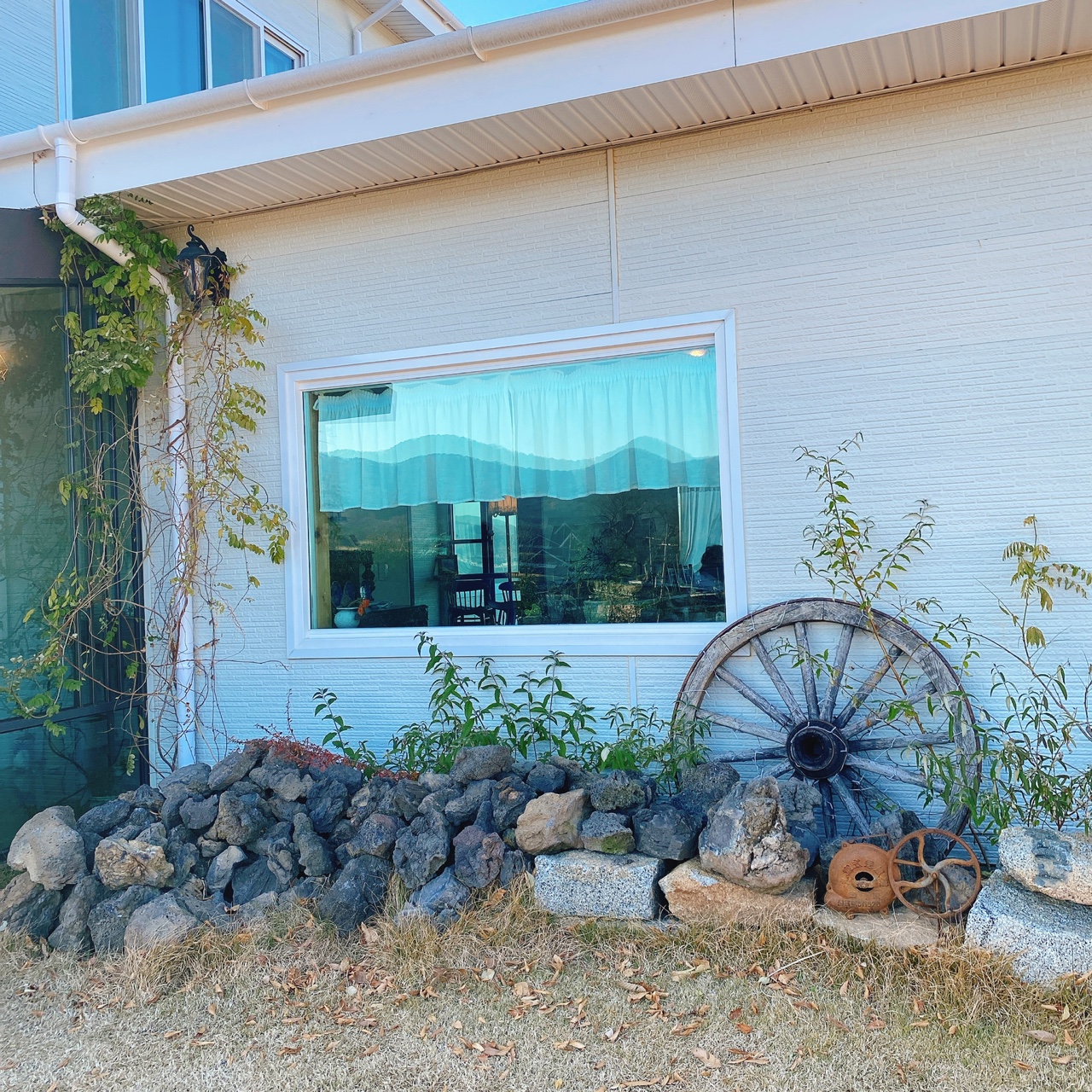 강화도 야생화 뜰 카페