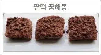 팥떡 꿈해몽