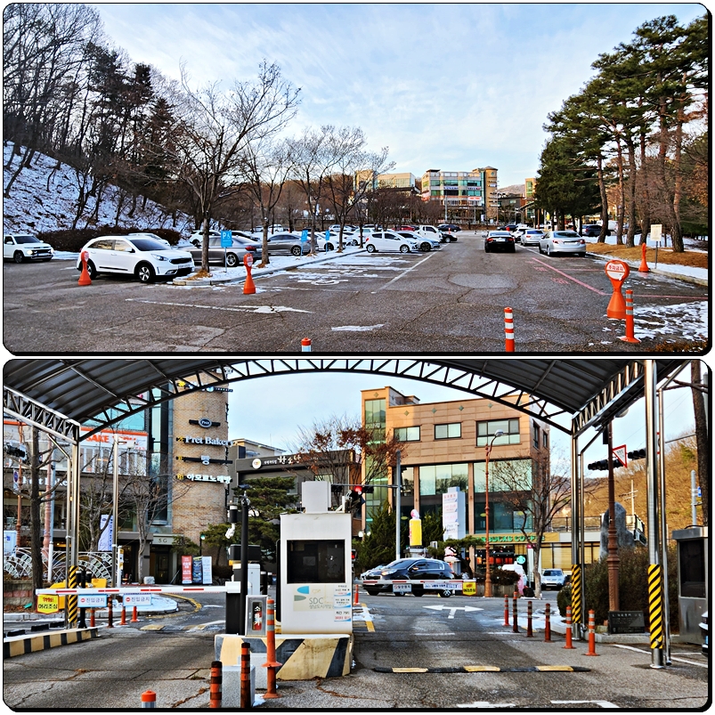 율동공원 나폴레옹