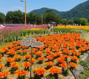5월에 인기좋은 전국축제