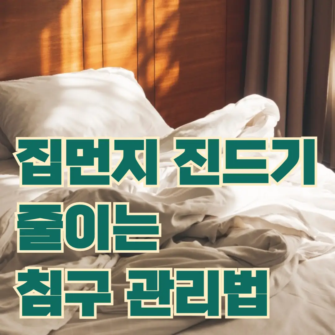 아토피, 비염, 알러지 침구관리방법