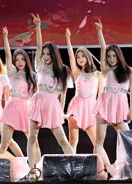 브레이브걸스 공식 해체 이유