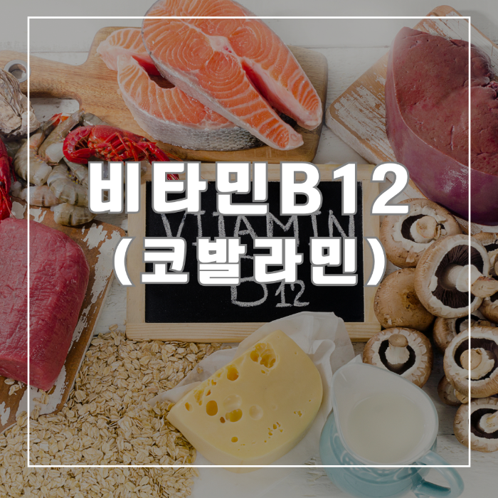 비타민 B12
