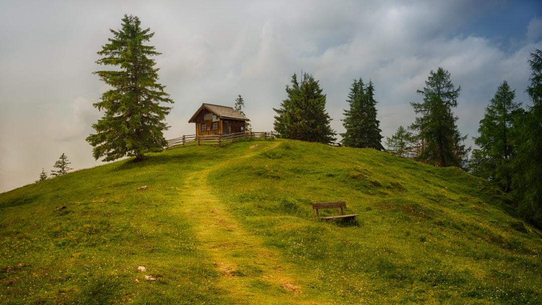 Cabin