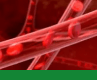 심혈관질환예방