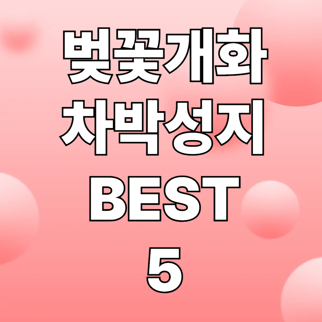 벚꽃 시즌, 차박 성지 5곳 추천!