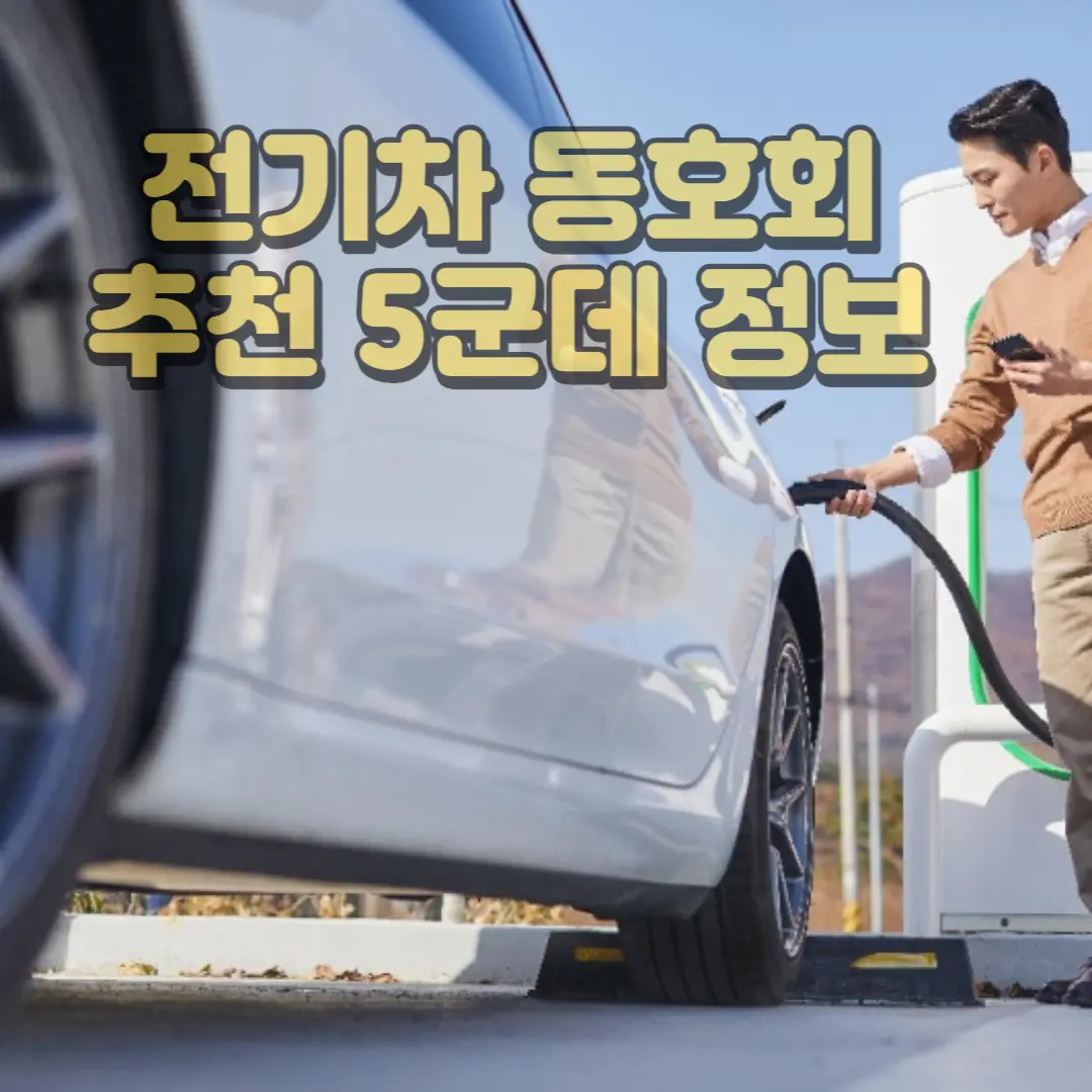 전기차 동호회 정보