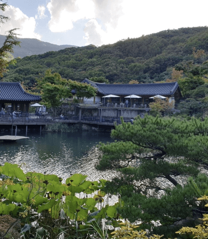 화담숲의 해질녘