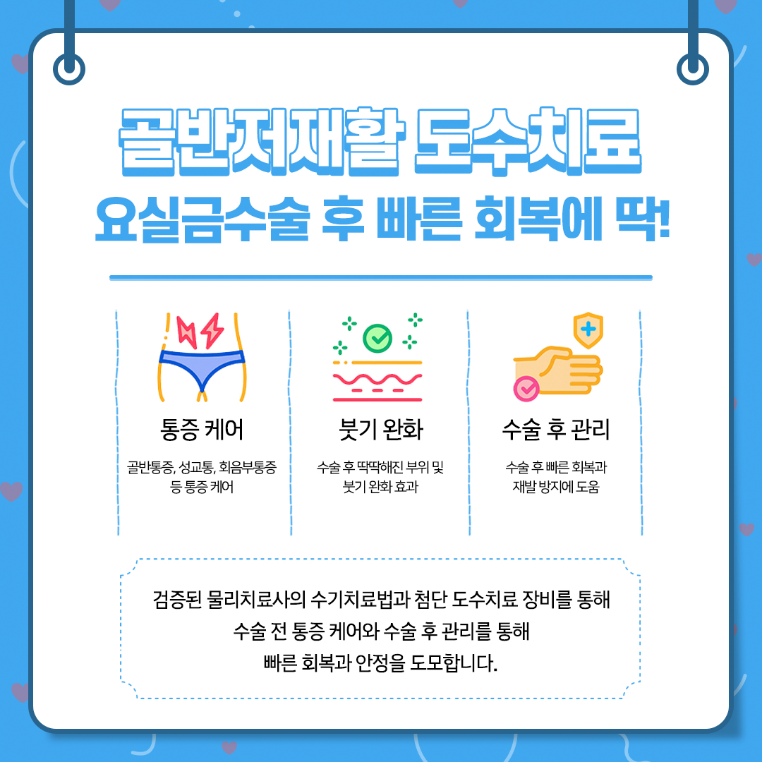 헤스티아 골반저재활 도수치료