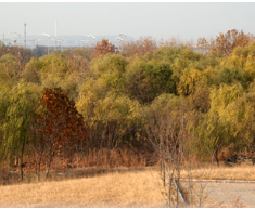 한강페스티벌 여의도한강공원