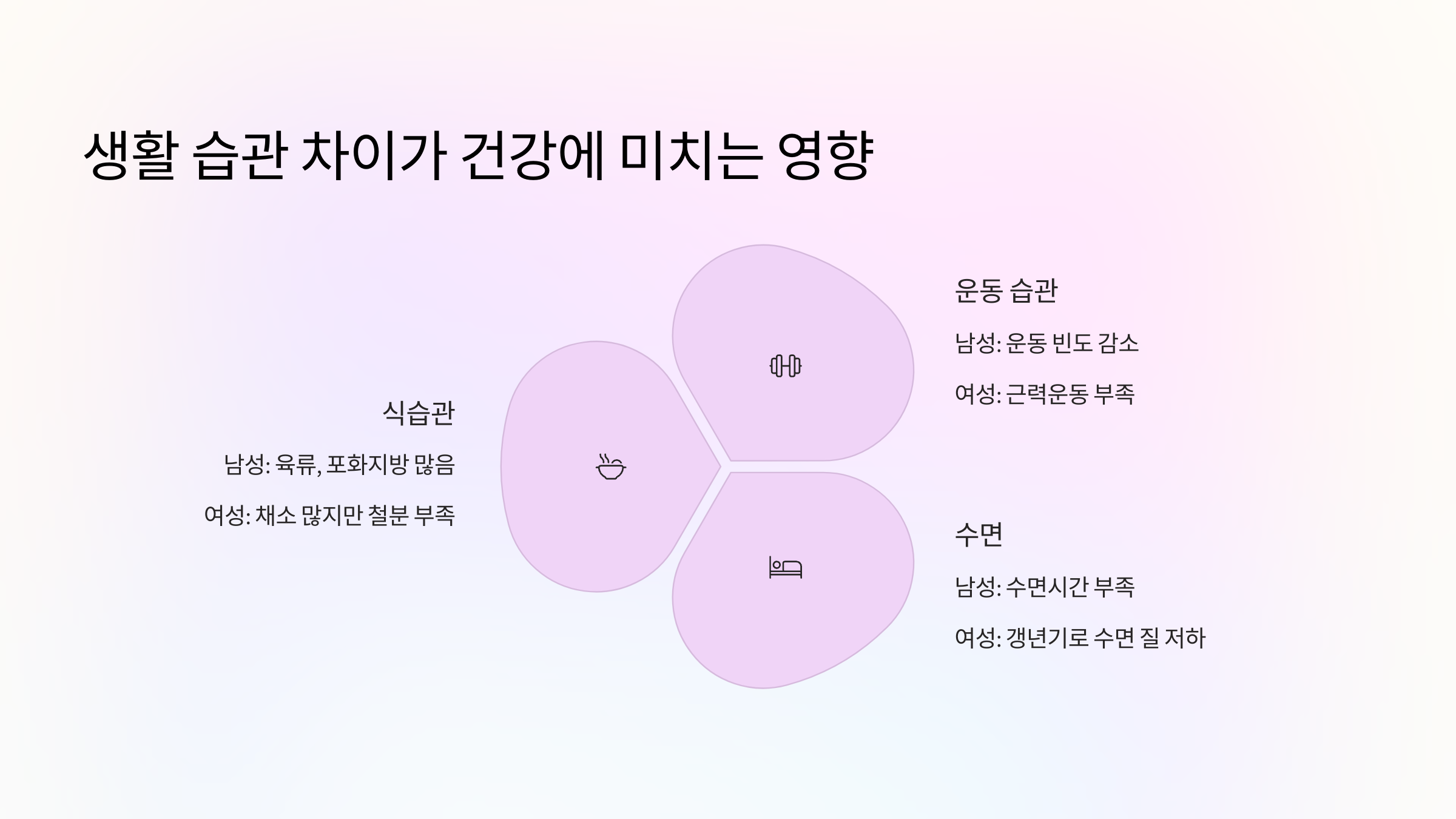 🍽 생활 습관 차이가 건강에 미치는 영향