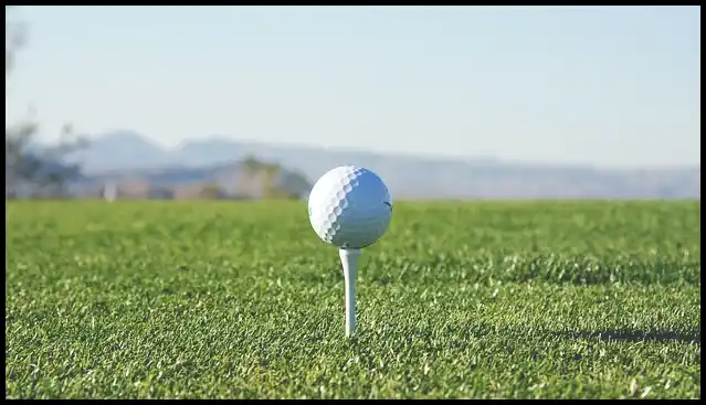 파크골프채 가격 추천 (혼마, 피닉스, 미즈노)