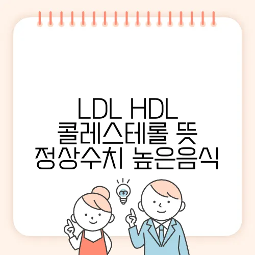 LDL HDL 콜레스테롤 뜻 정상수치 높은음식
