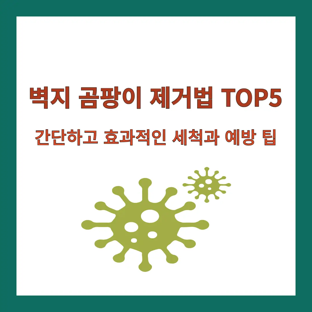 벽지-곰팡이-제거