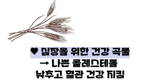 귀리 효능과 부작용