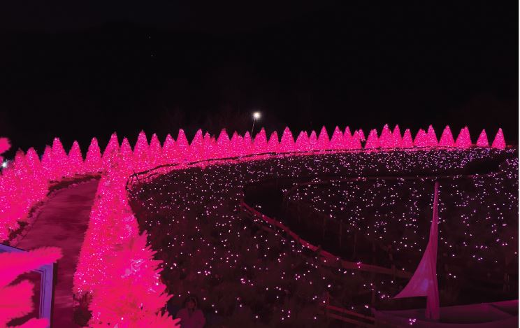 포천 허브아일랜드 불빛동화축제 여행 정보 (2024)