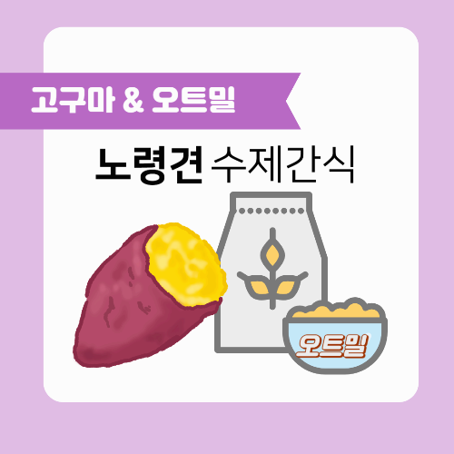 노령견의 수제간식 고구마 오트밀 쿠키