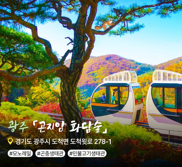 여름 더운 날씨에 가기 좋은 경기도 숲 [ BEST 3 ]