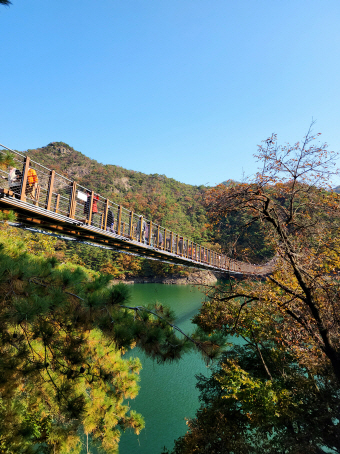 [명품숲길 50선 가을단풍 산행 ⑧] 제천 청풍호 자드락길 : 옥순봉길과 괴곡성벽길&amp;#44; 호수 위로 물든 가을 단풍길