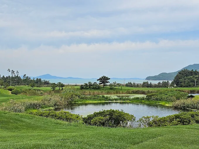해남의 명문 '파인비치 골프링크스' 골프장 소개 및 예약방법