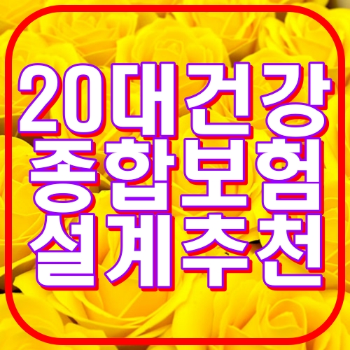 20대 건강보험 설계추천