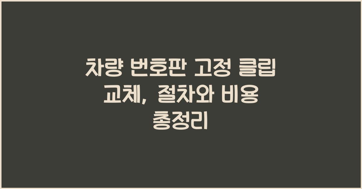 차량 번호판 고정 클립 교체