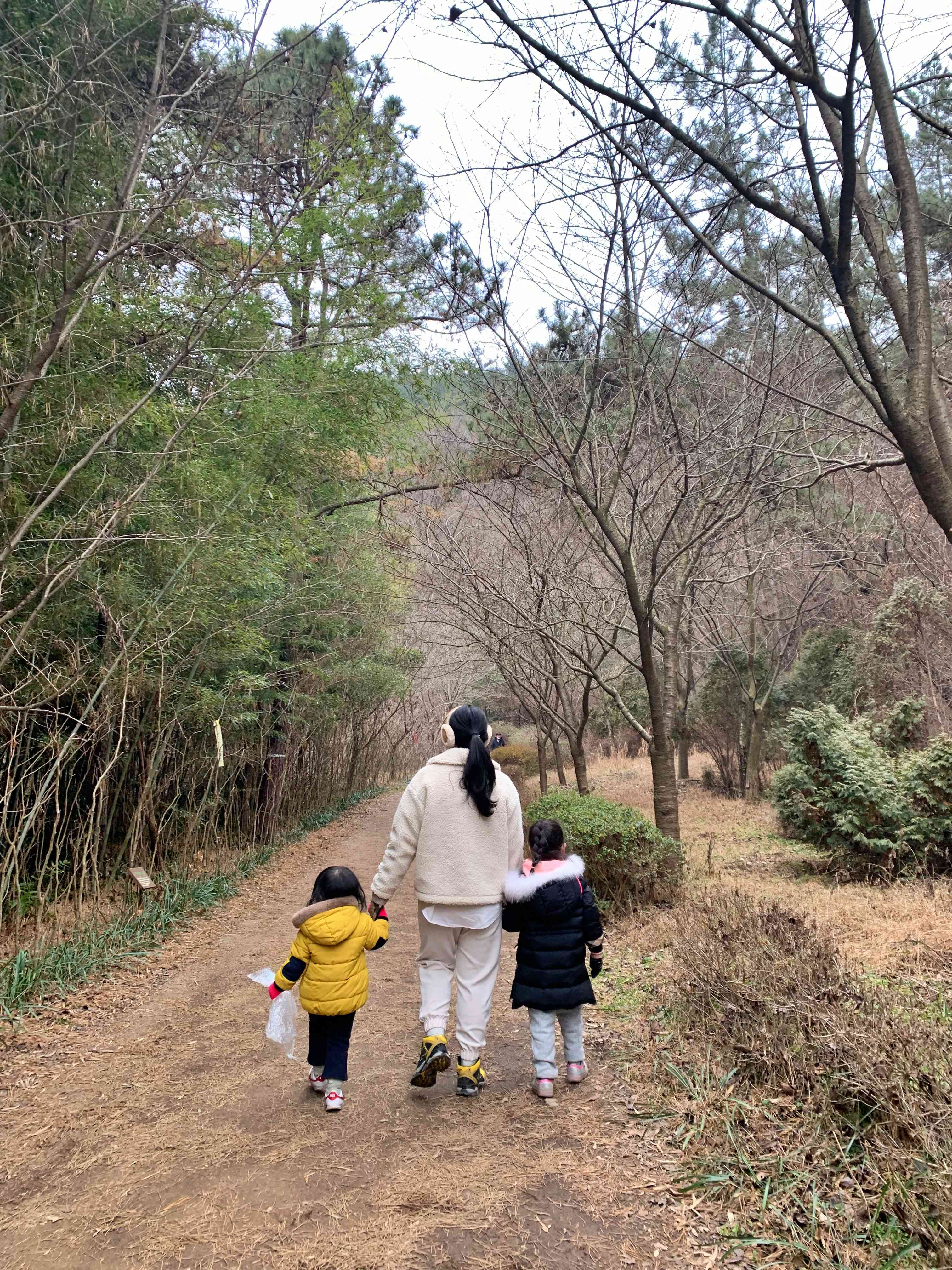 숲길 산책