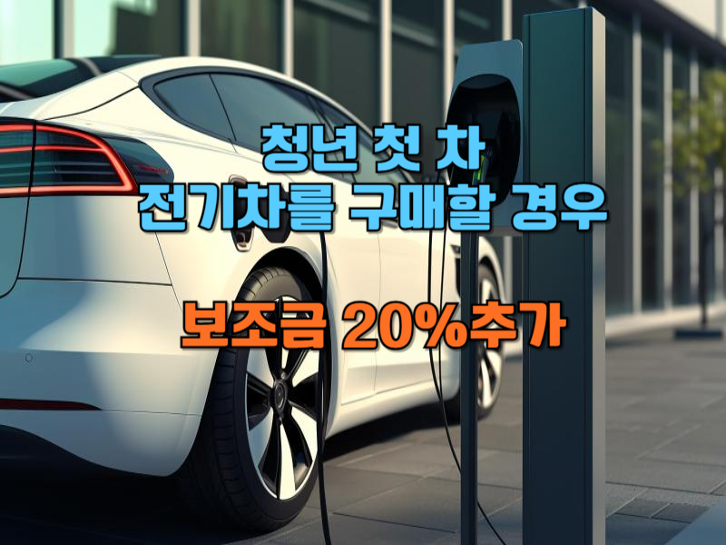 생애 첫 차로 전기차 구매 시 보조금 혜택