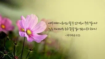 희망을 주는 성경구절 안식 위로 말씀_8