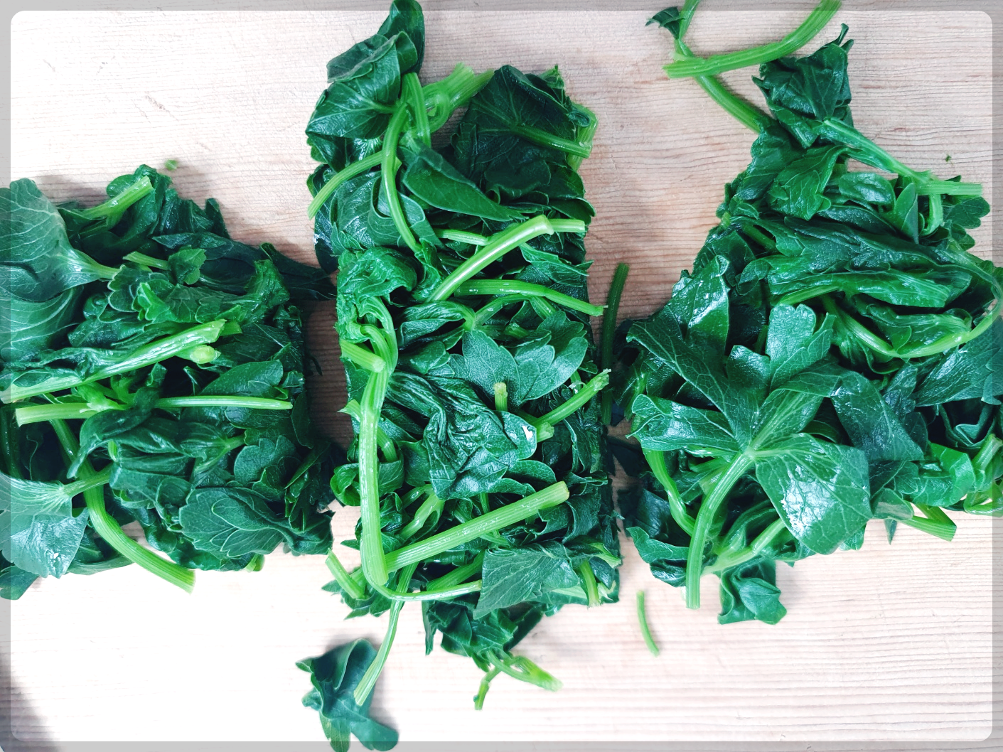 방풍나물 무침 요리법 효능까지