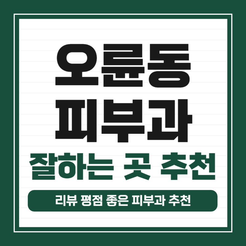 송파구 오륜동 피부과 유명한 곳 모공 레이저 잘하는 곳 추천 TOP 5