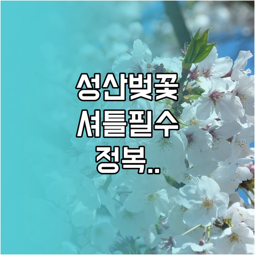 2026년 창원 성산구 벚꽃 개화 정..