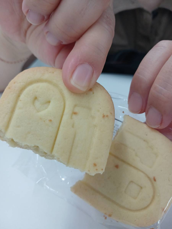 캐스퍼 쿠키 자르다