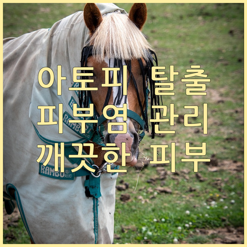 아토피 피부염, 효과적인 관리로 증상..