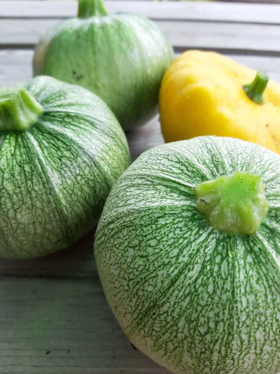 늙은호박 보관법