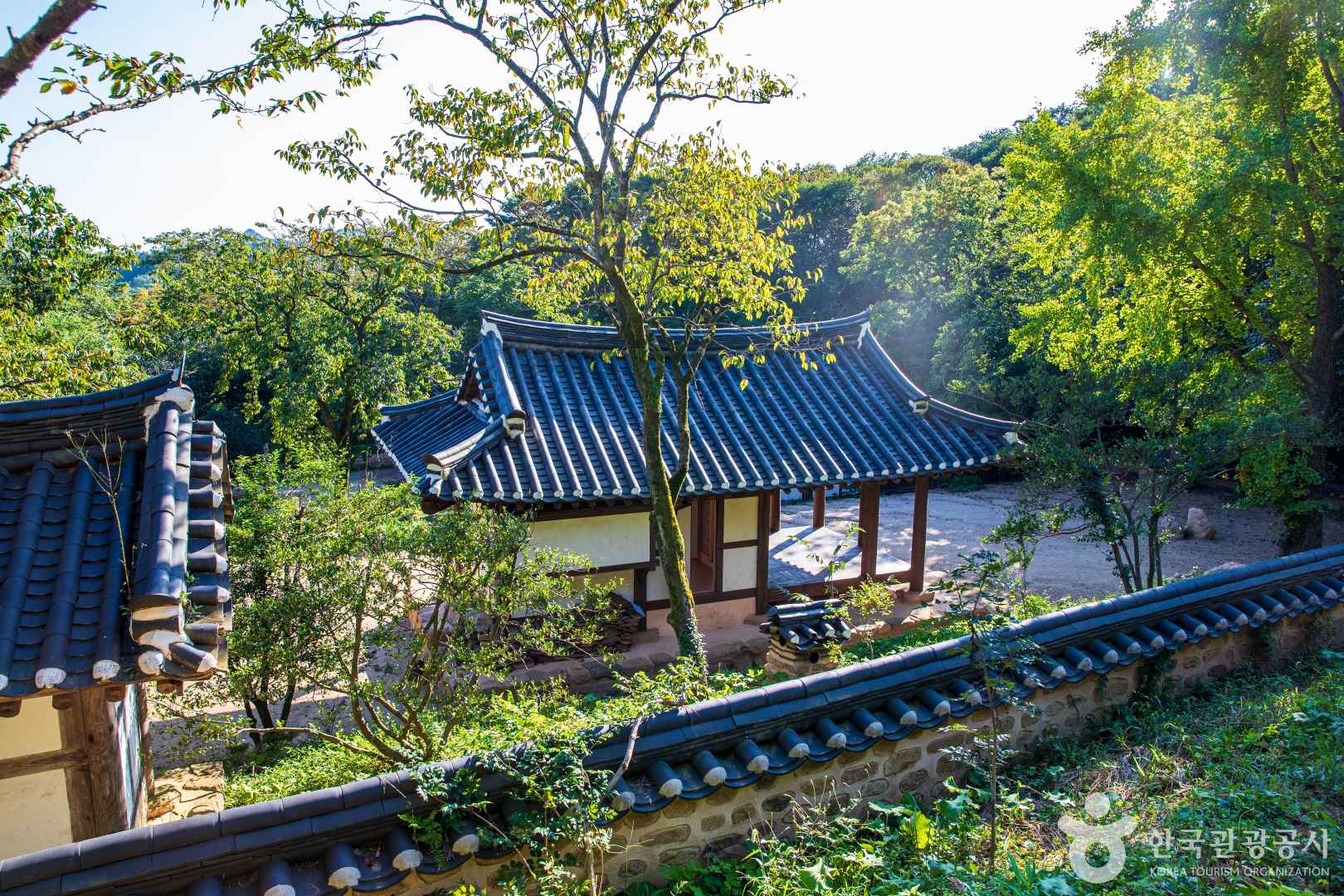 강진백운동원림