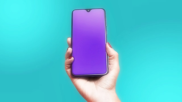 이동전화 단말기 자급제