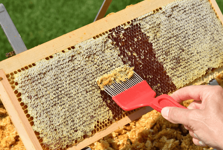 위에 좋은 음식