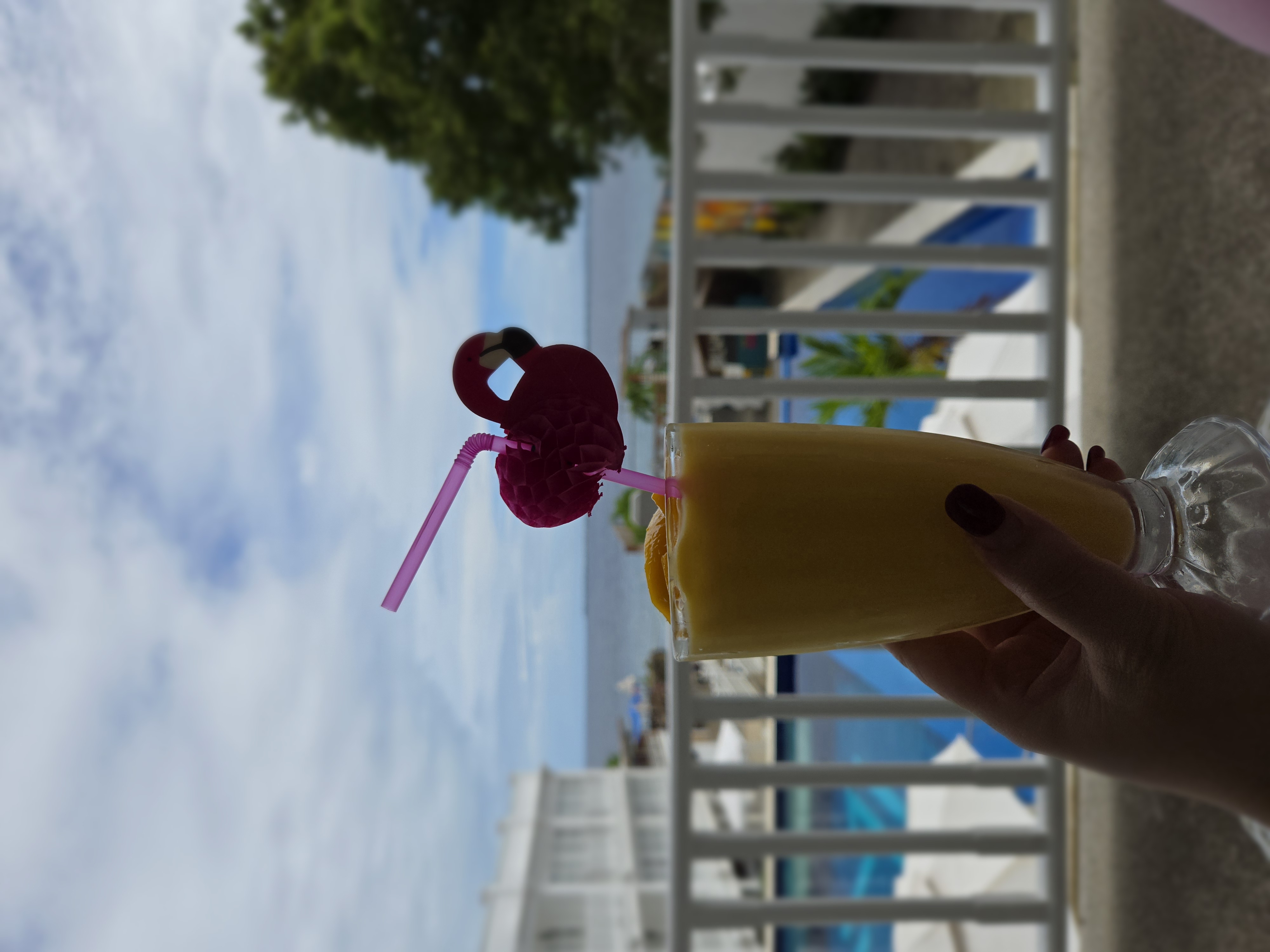 세부 맛집 카바나