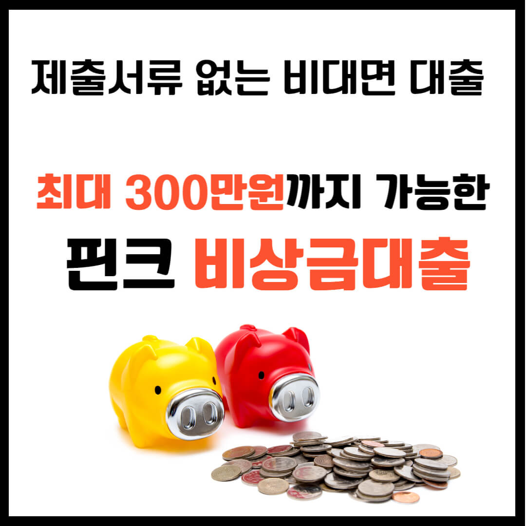 핀크 비상금대출