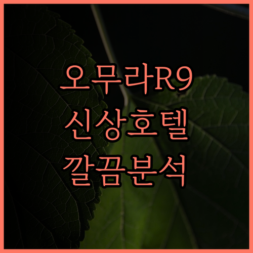 2024년 신상 호텔 호텔 R9 더 