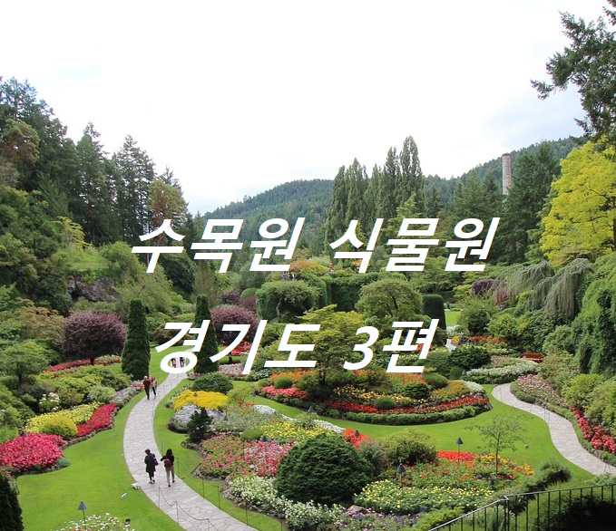 여행