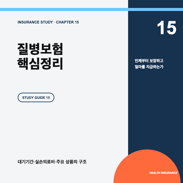 질병보험 핵심정리, 대기기간&middot;실손의료비&middot;주요 상품